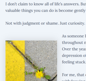 A snippet of an article about using DBT-skills for depression. An image of a dandelion coming through a crack in the cement.