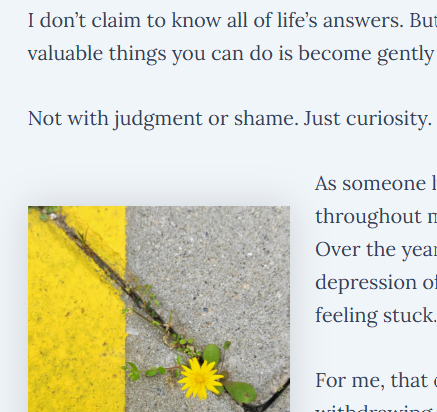 A snippet of an article about using DBT-skills for depression. An image of a dandelion coming through a crack in the cement.